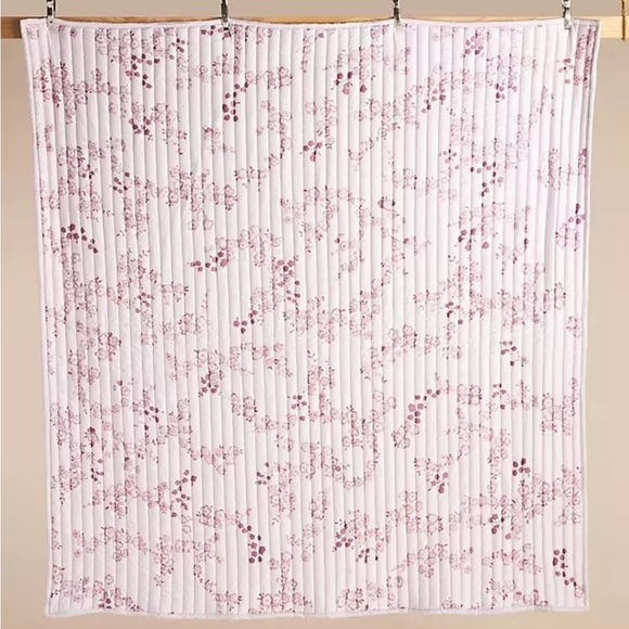 Anthropologie exclusive Erin Fetherston DULCETTE QUEEN Bedding set - Picture 4 of 6